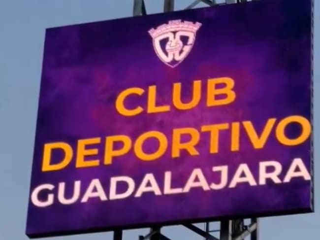 Nuevo video marcador Pedro Escartín