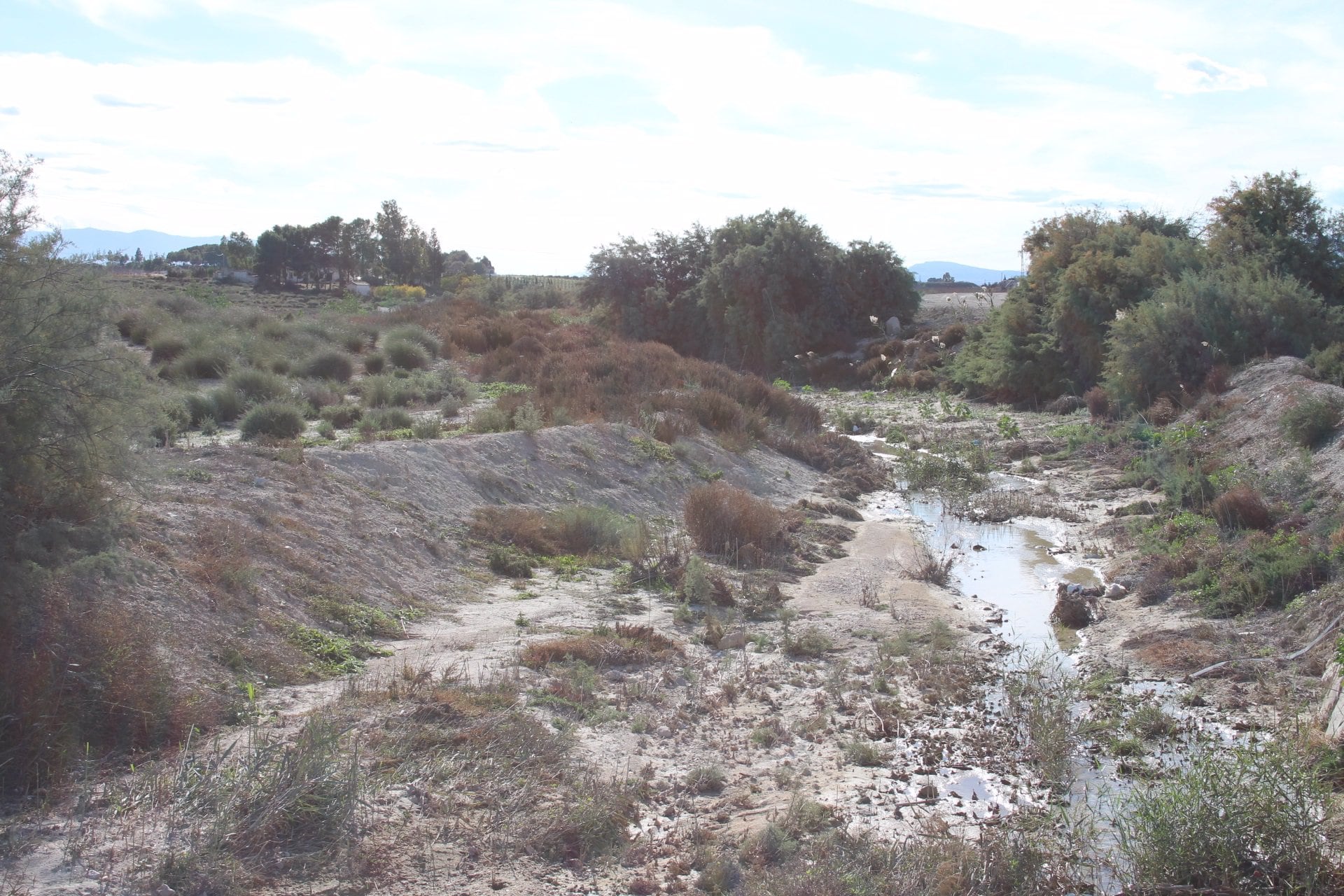 Cañadas de Mendoza y Morcillo en Molina de Segura