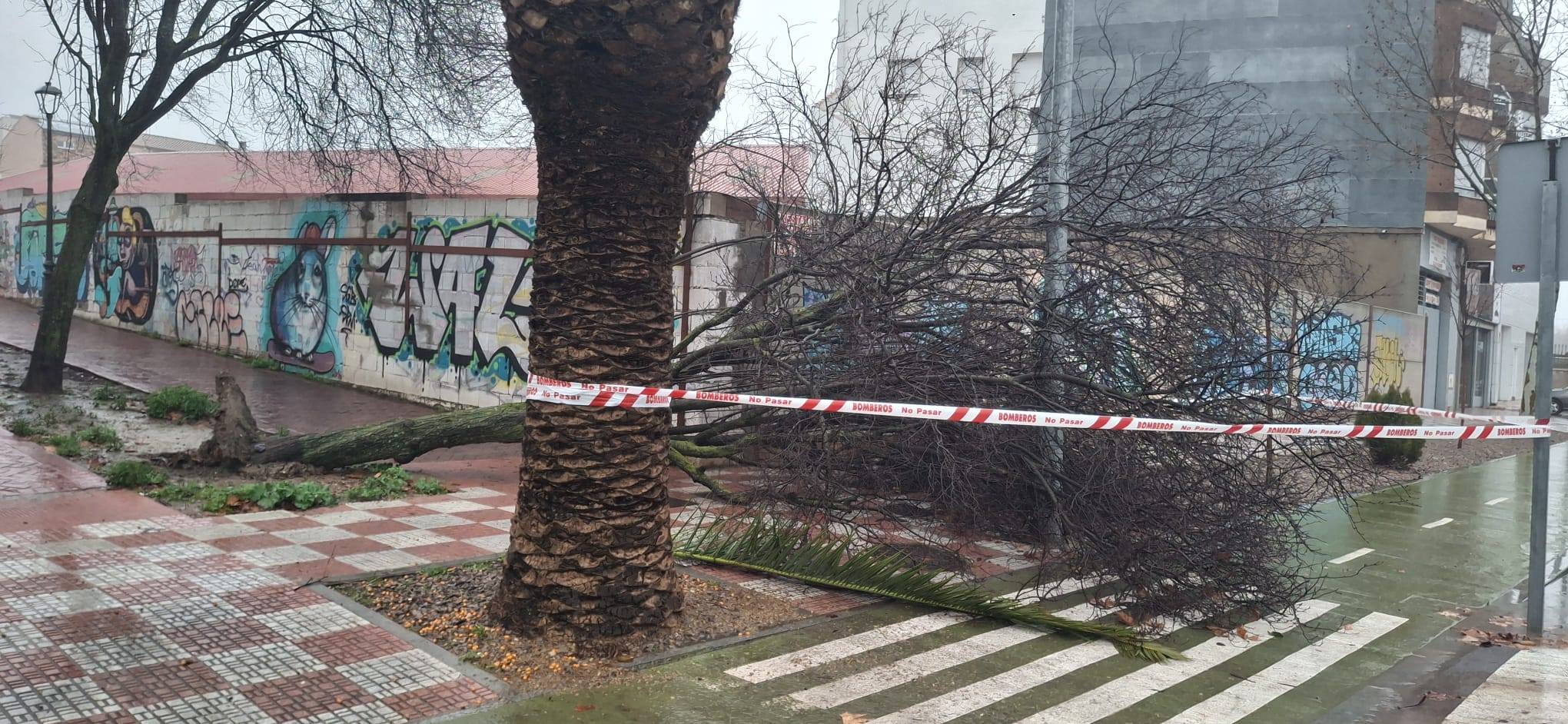 Efectos del temporal en Úbeda.