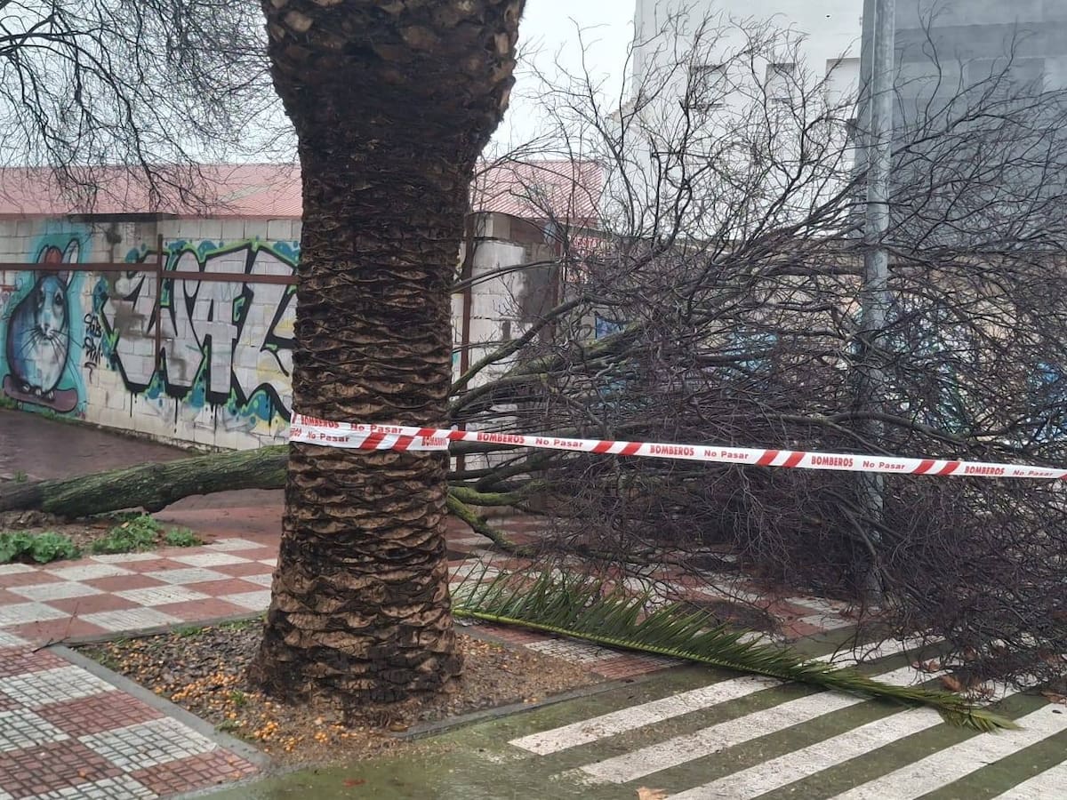 El temporal deja en Úbeda varias incidencias y el Ayuntamiento pide precaución