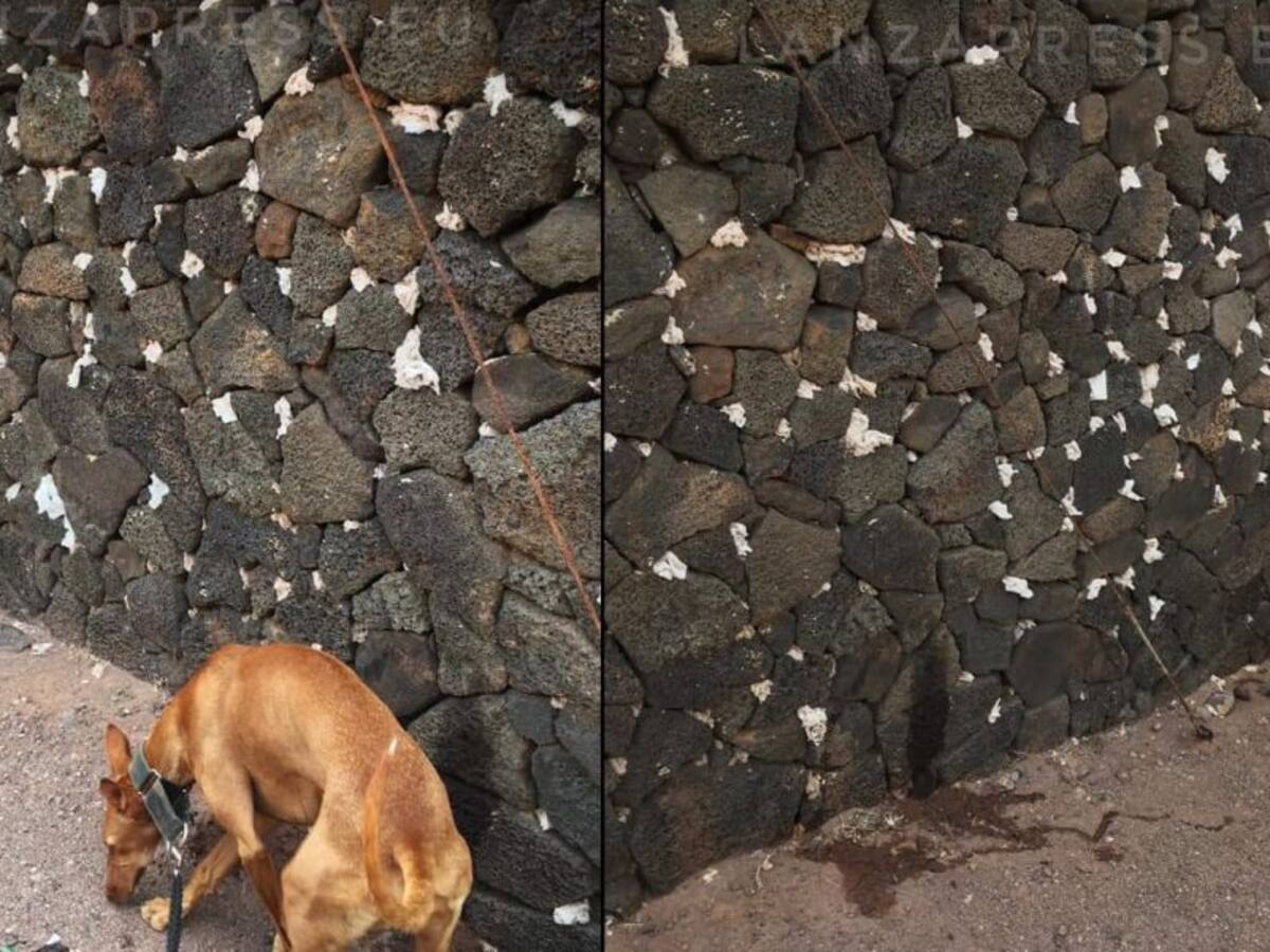 Convierten el imponente mirador de La Graciosa en un retrete