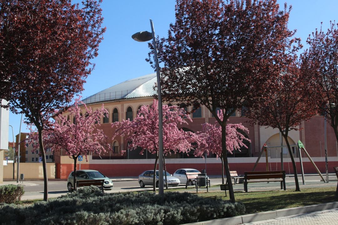 Imagen de archivo de la Plaza de Toros de Aranda