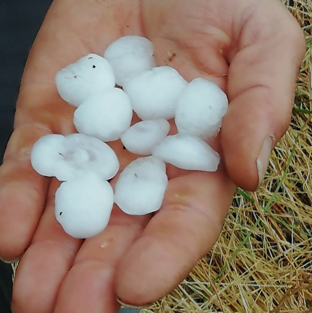 El granizo ha provocado daños en los viñedos