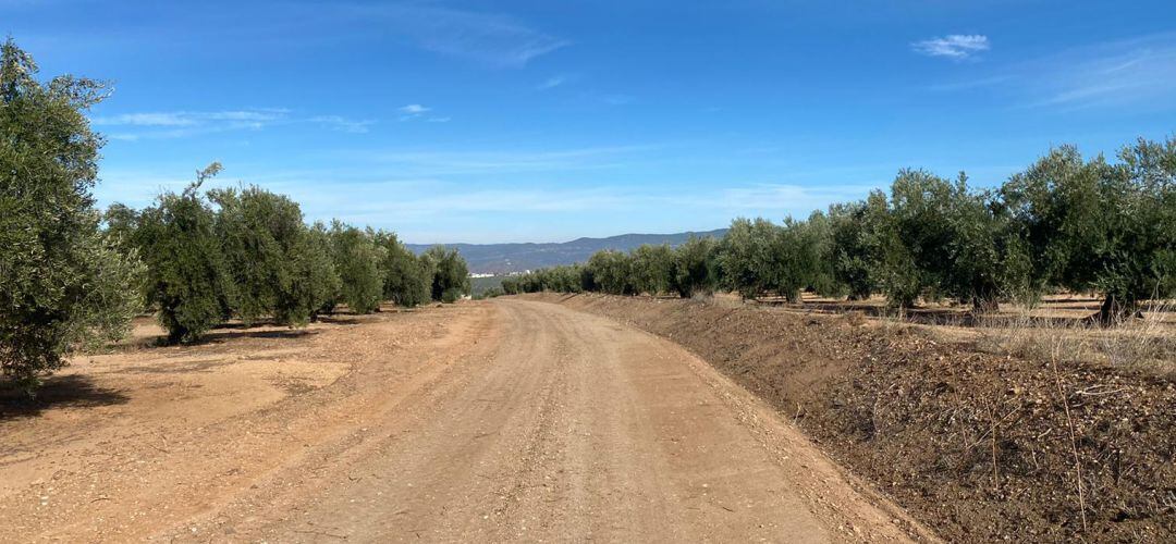 Uno de los caminos rurales arreglados de Marmolejo.