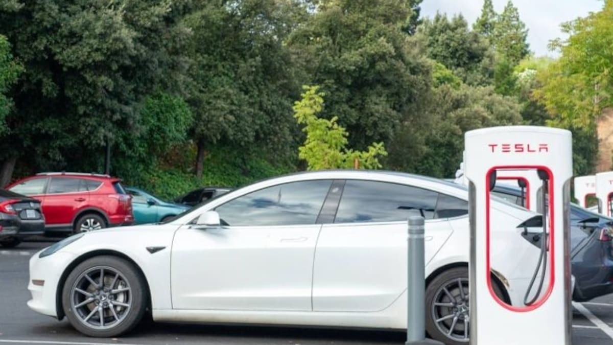 Maruja Torres: "Gracias a los Teslas se van a quedar sin trabajo los taxistas"