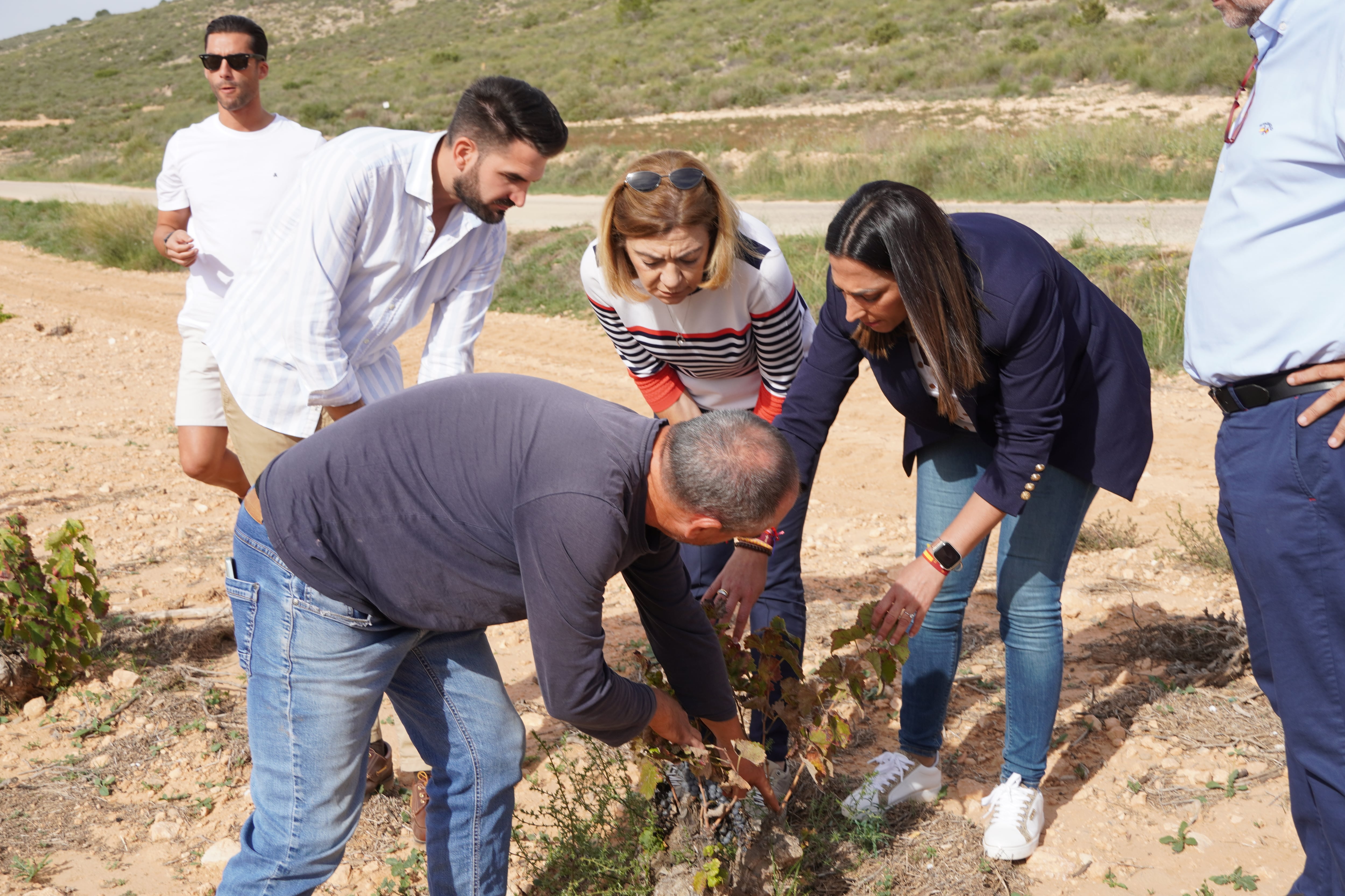 La consejera Sara Rubira, junto a la alcaldesa y concejal de Agricultura de Jumilla en su visita a un viñedo de Jumilla