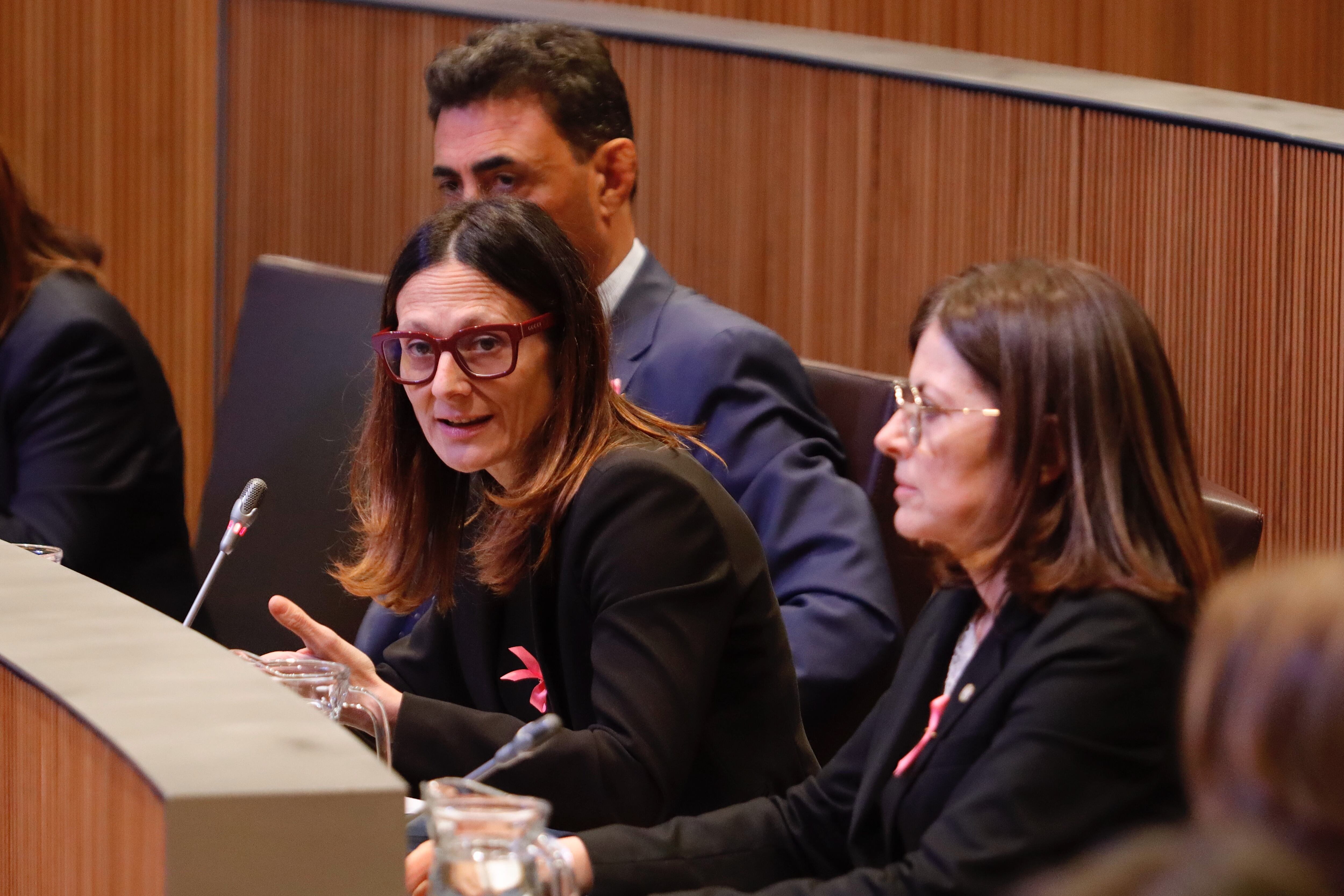 La ministra de Justícia i Interior, Ester Molné, avançava al Consell General noves mesures per combatre el contraban al Pas de la Casa