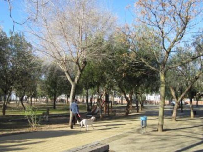 Mejoras en el Parque del Almendral en Carmona