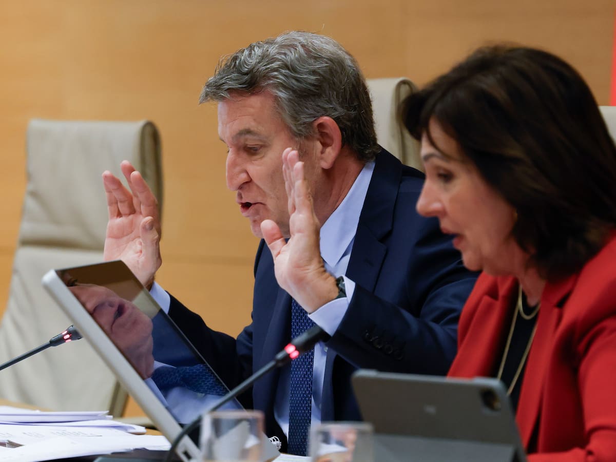 Mazón, un sistema de medida nacional