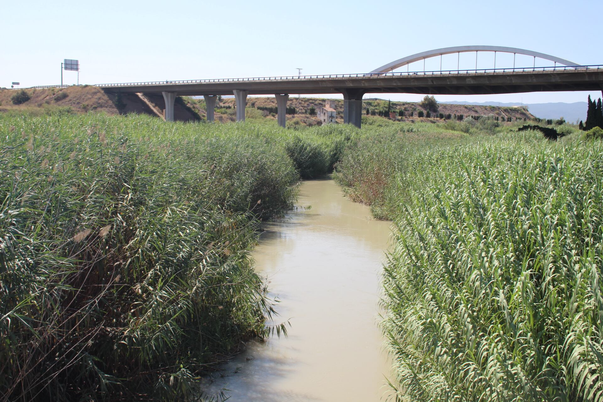 Tramo del río Segura entre los municipios de Murcia y Molina de Segura, zona dónde se actuará.