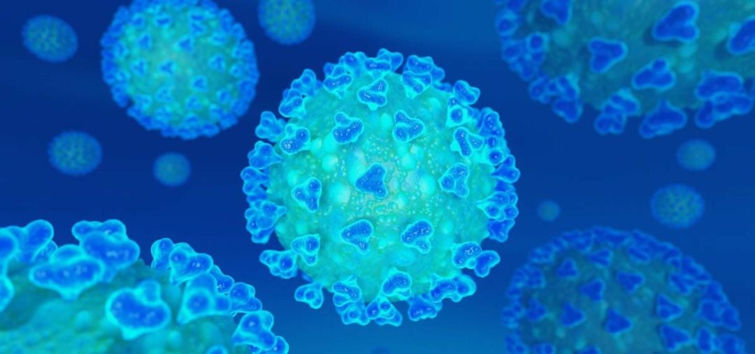 Imagen del Coronavirus.