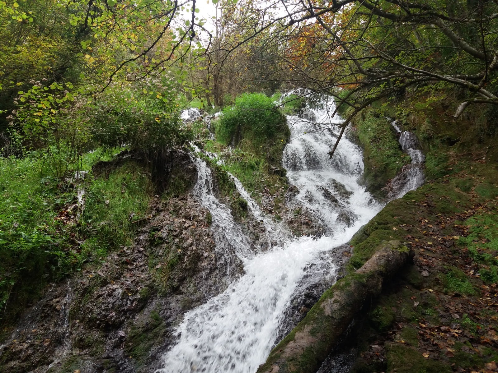 Ruta del Agua de Berganzo