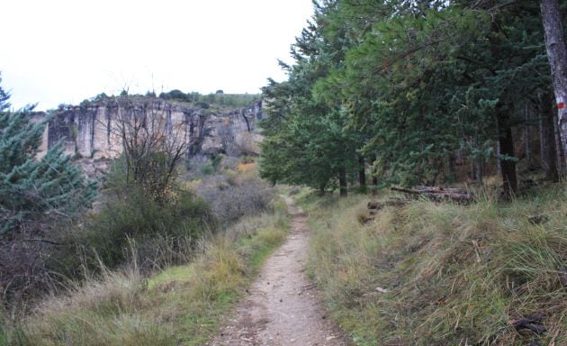 De camino a la cueva de la Zarza.