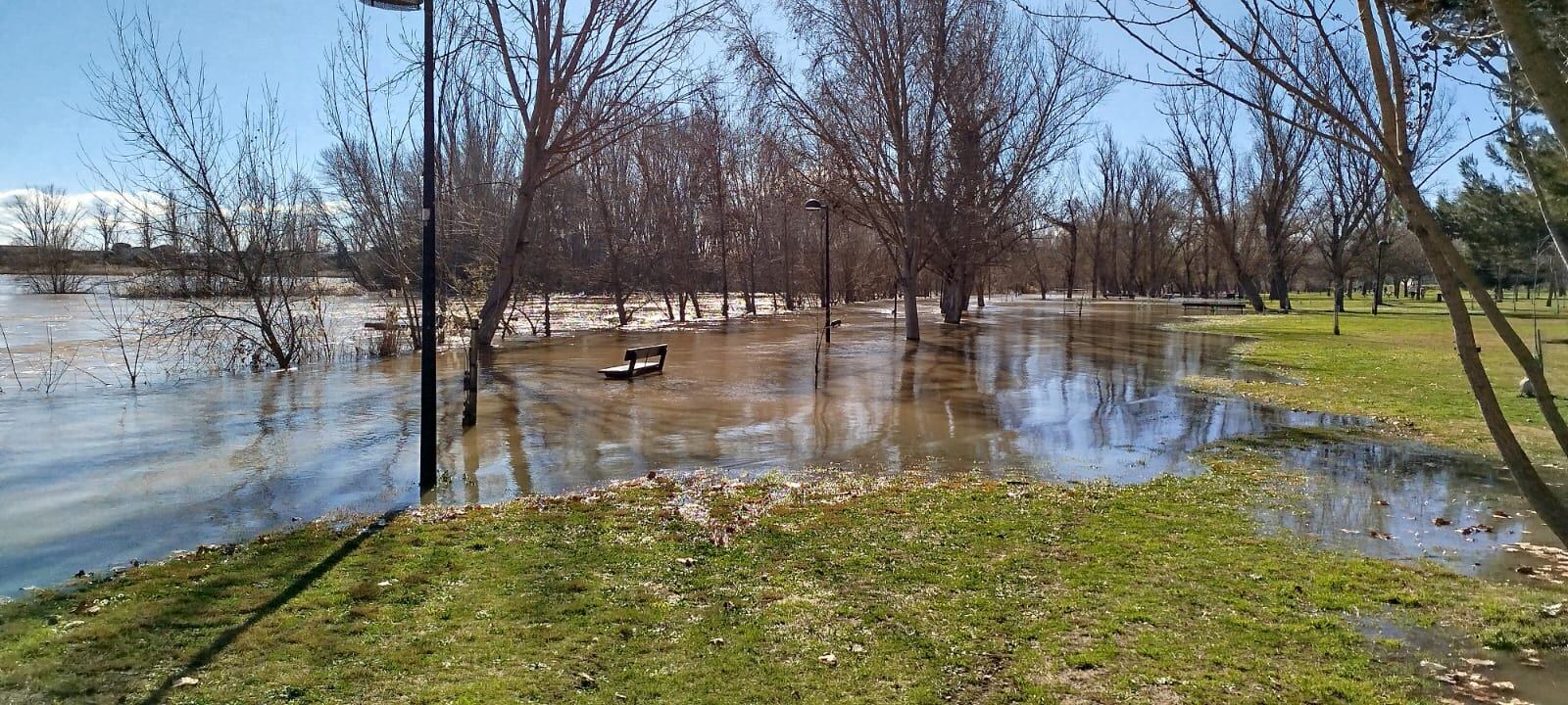 El Duero en el paseo de los Tres Arboles en Zamora