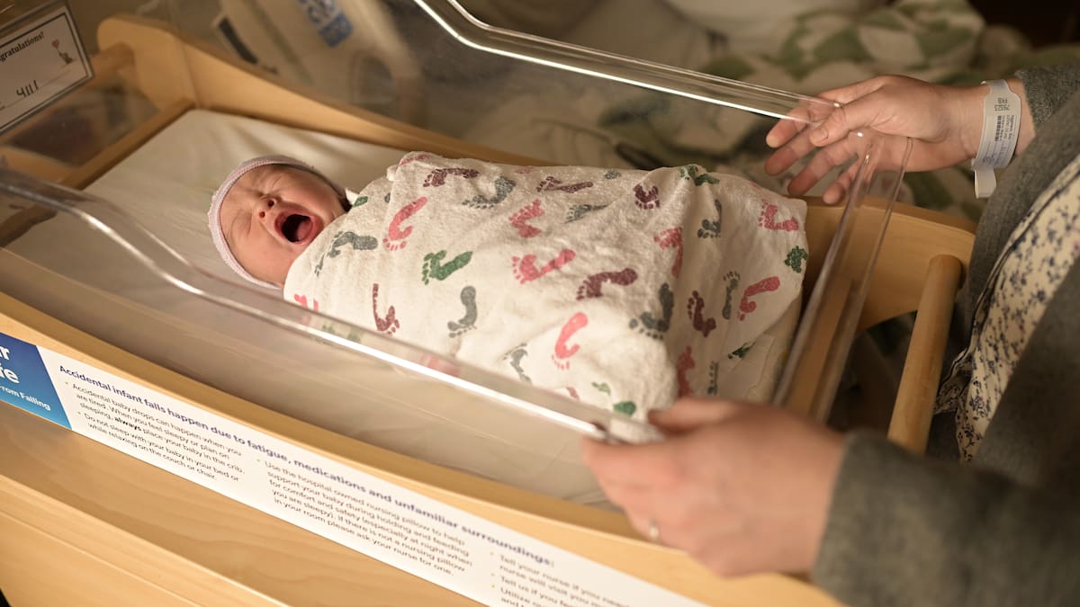 Escuela de verano | Las mil cosas que no sabías de los bostezos