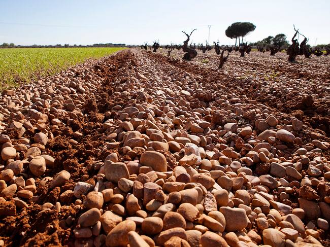 Cantos rodados y guijarros forman parte del singalur paisaje en el que crecen los vinos de la DO Ribera del Júcar