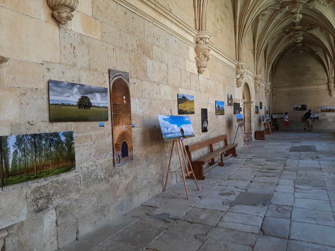 Imagen de la exposición