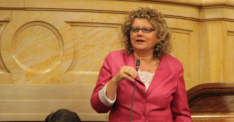 Marina Geli, en el último pleno de esta legislatura del Parlament de Catalunya