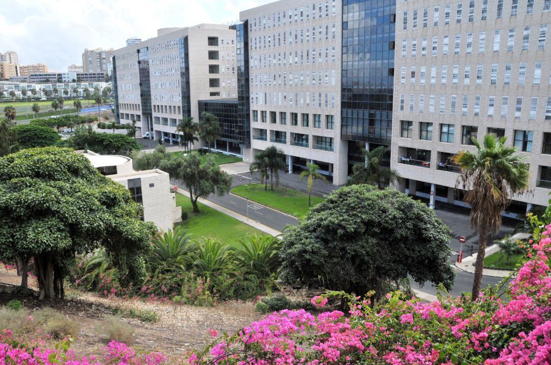 Archivo - Hospital de Gran Canaria Dr. Negrín