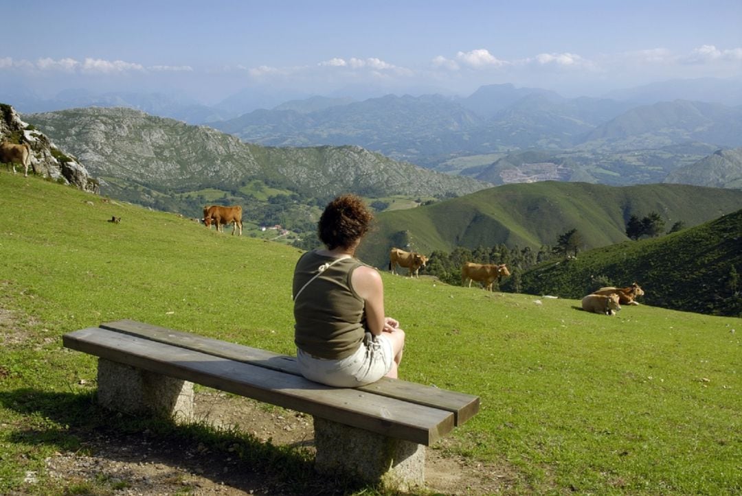 Las vacaciones en Asturias, sin momentos como este, no lo son tanto