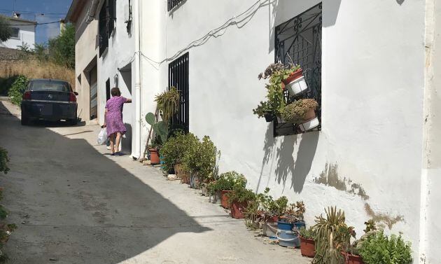 Una buena red de fibra óptica en el medio rural es imprescindible para el teletrabajo.