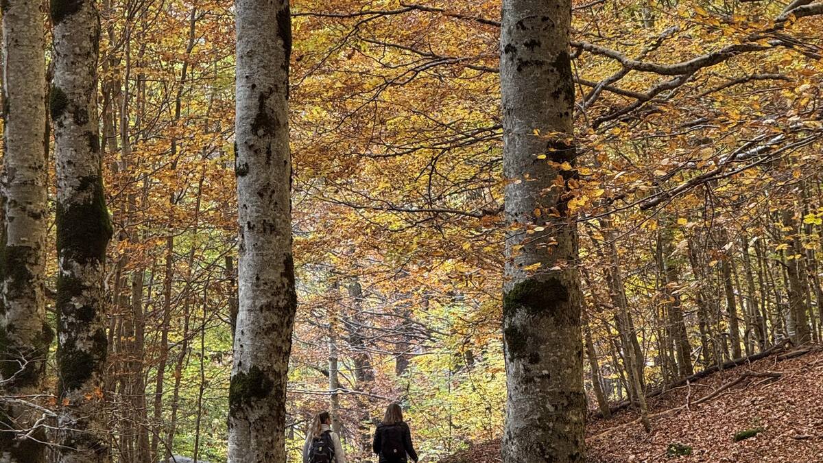 Entrevista a Carmen Muro, consejera de cultura.