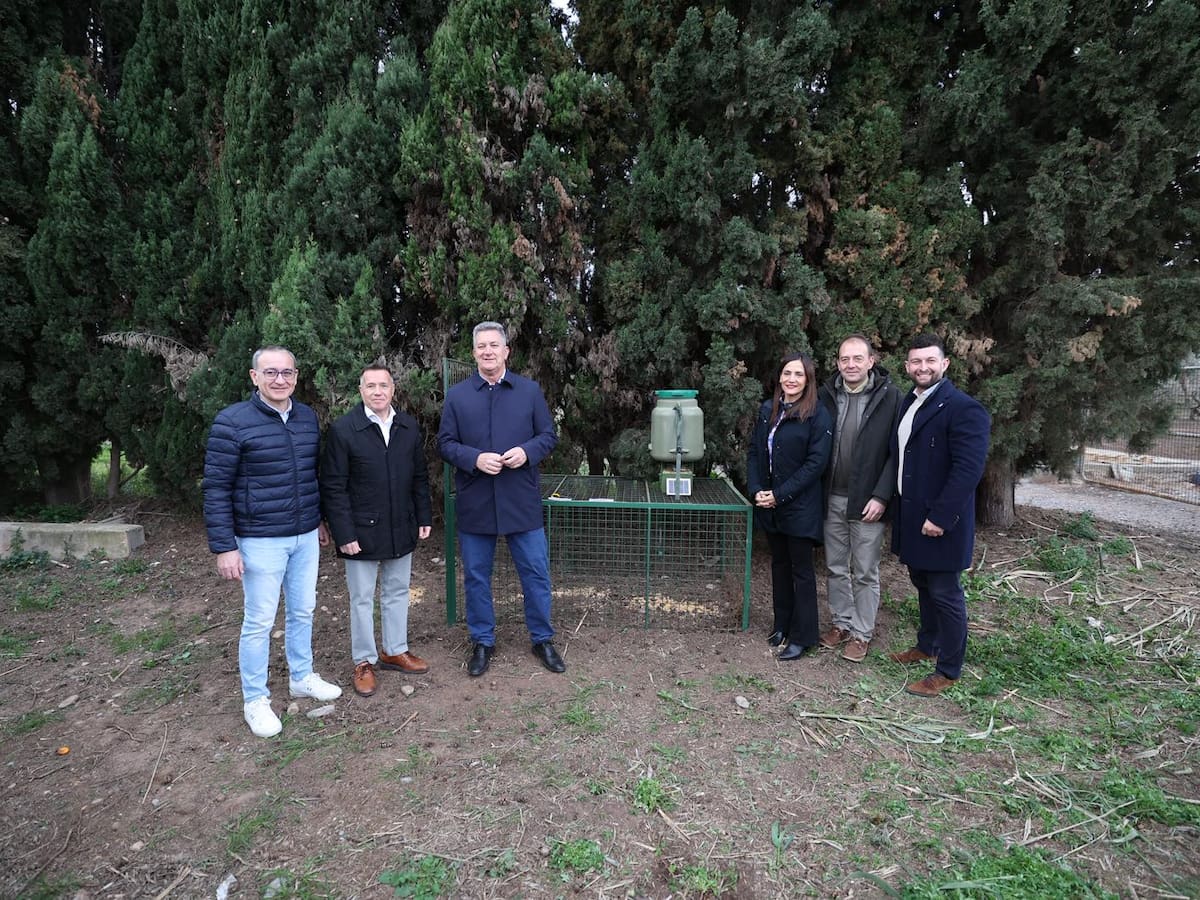 Medio Ambiente instala las primeras jaulas en Burriana para el control de la sobrepoblación de jabalíes en la desembocadura del Rio Mijares
