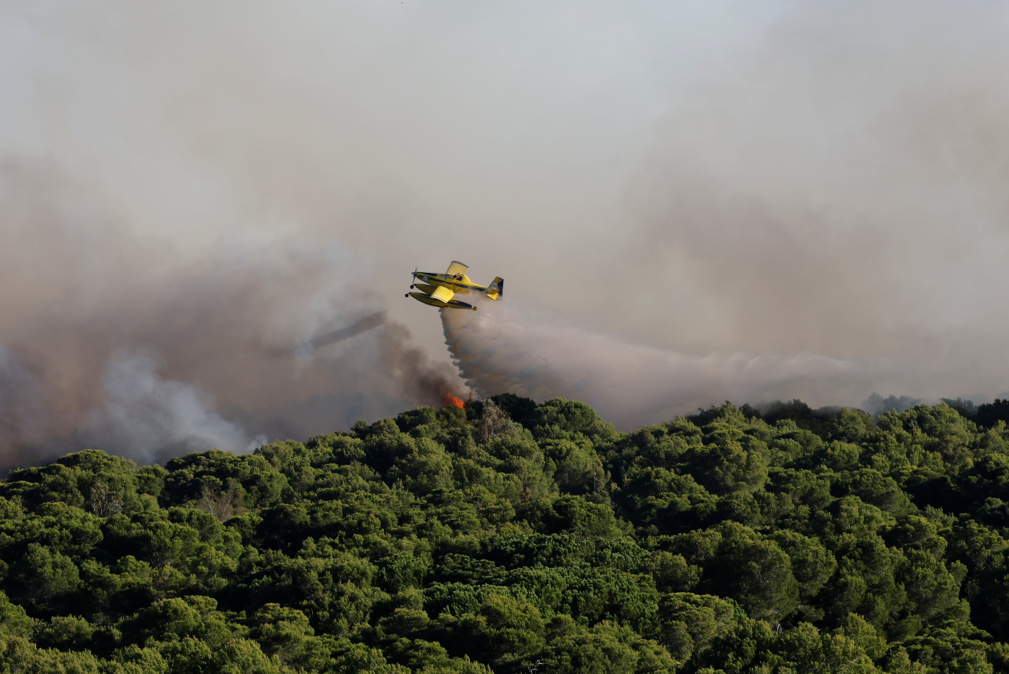 Medios aéreos de Bomberos Forestales en un incendio