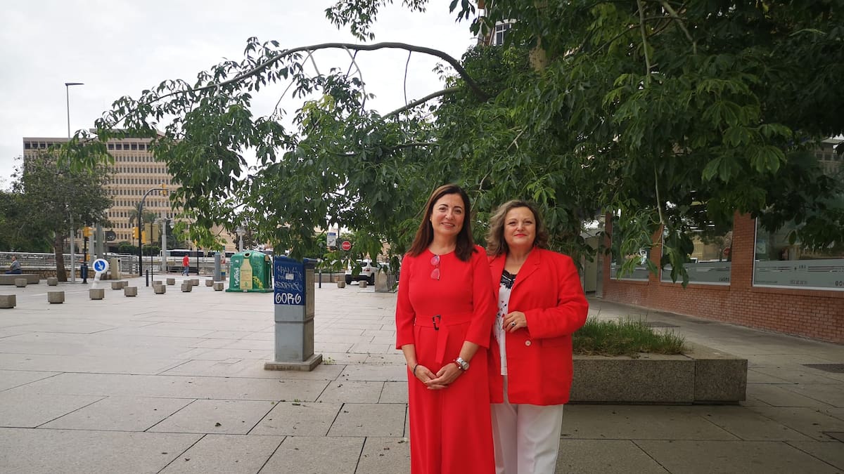 Los abogados de familia recomiendan fijar los términos de la separación antes del matrimonio