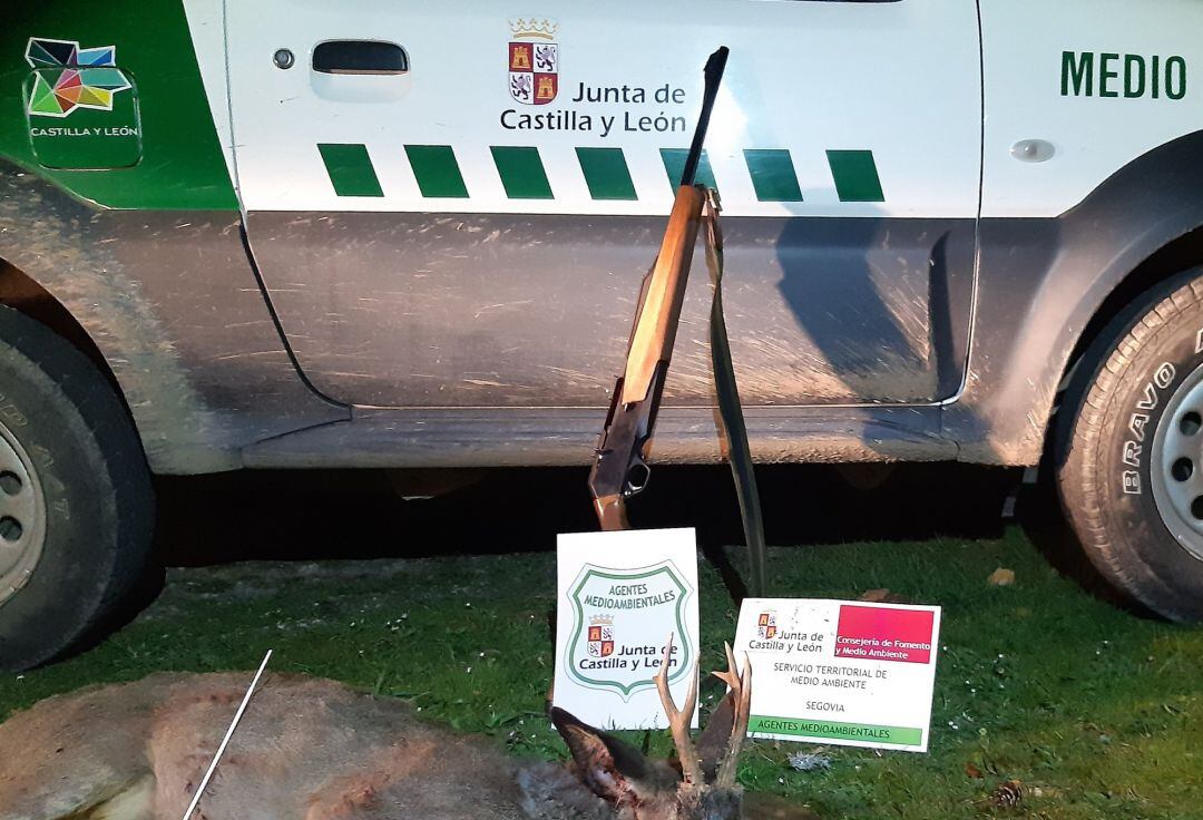 Denunciado un cazador por no colocar el precinto a un corzo abatido en Orejana