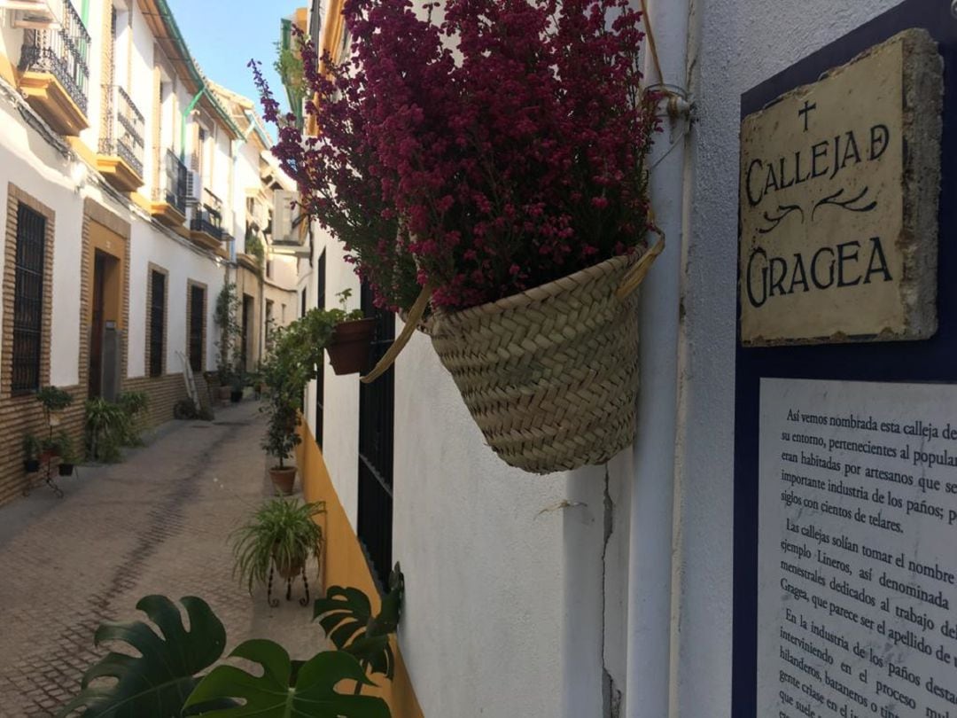 Calleja de Gragea