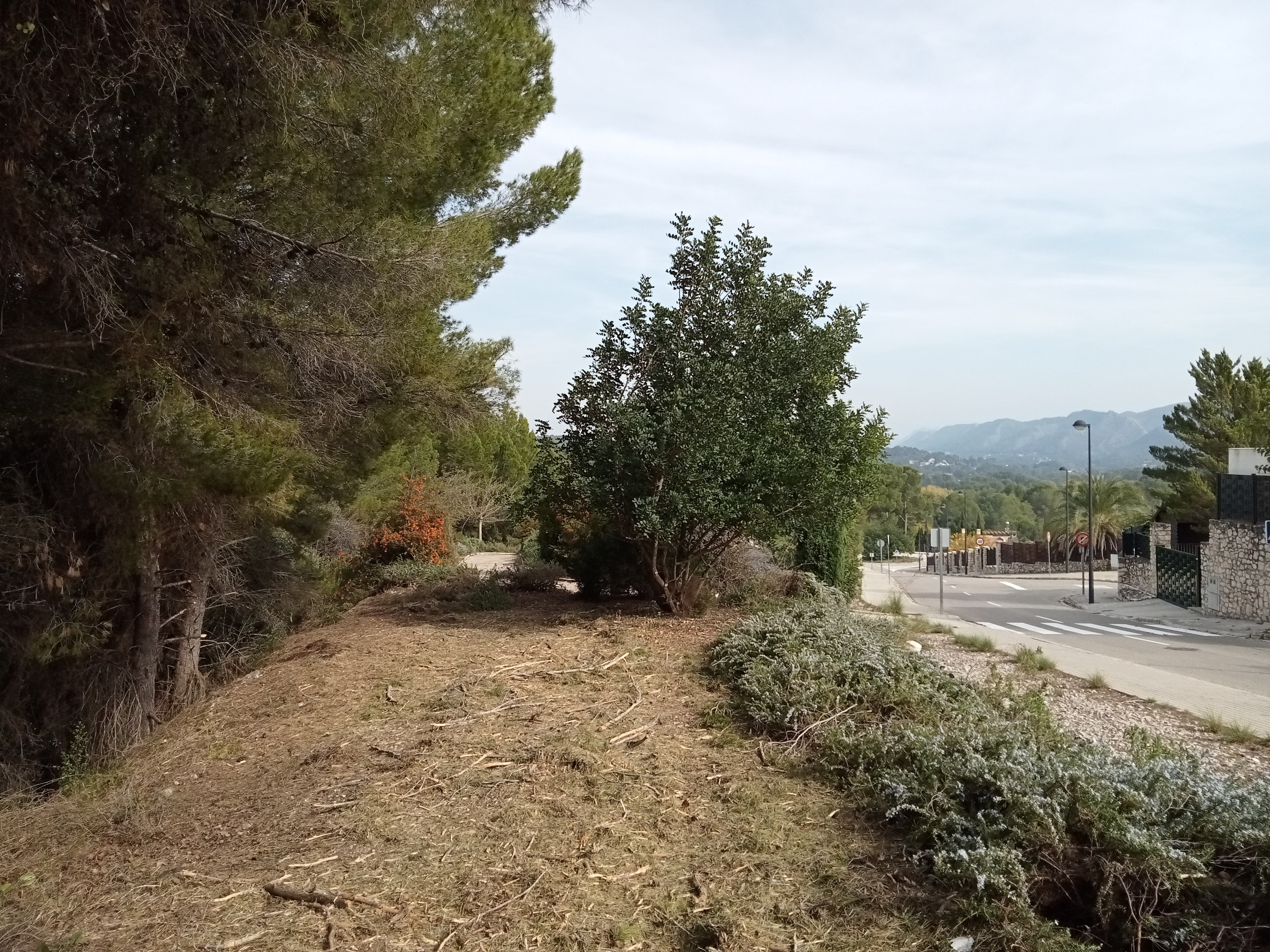 Trabajos en Bixquert. Fuente: Ajuntament de Xàtiva