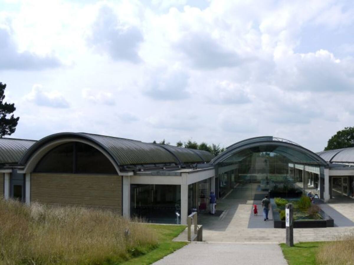 El Banco de Semillas del Milenio: un proyecto para preservar la biodiversidad vegetal a nivel global