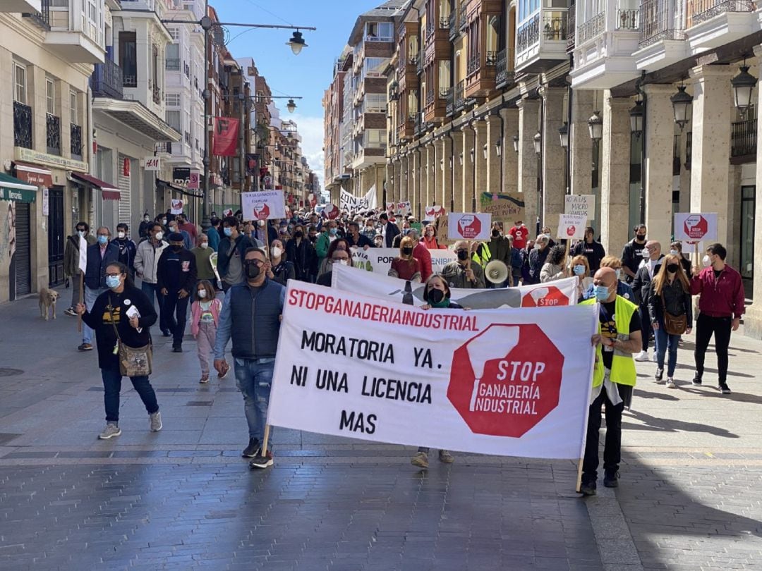 Movilización en Palencia contra las macrogranjas porcinas