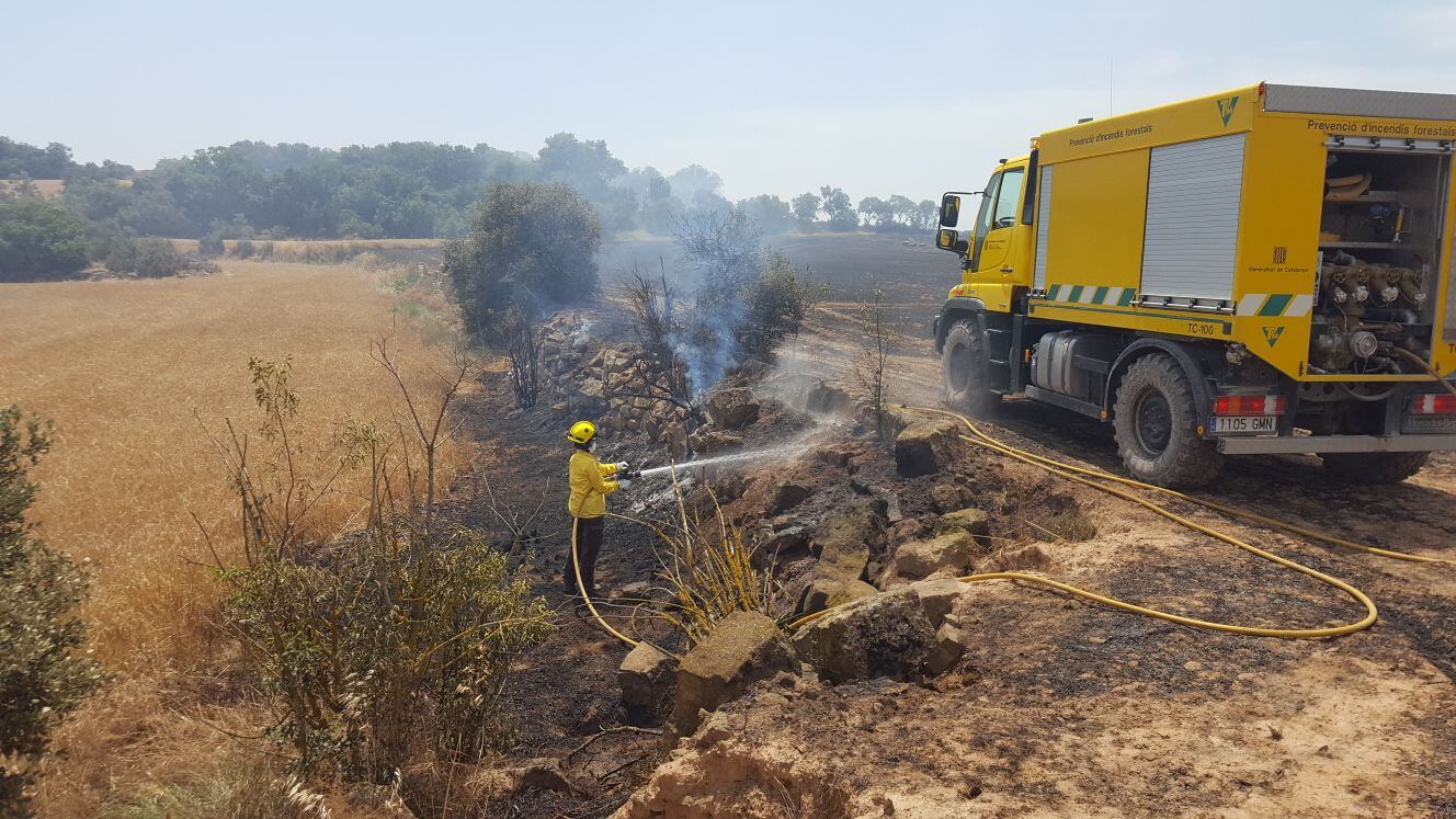 Imatge d'arxiu d'un incendi provocat per treballs de recol·lecció del cereal. Foto: Acció Climàtica.