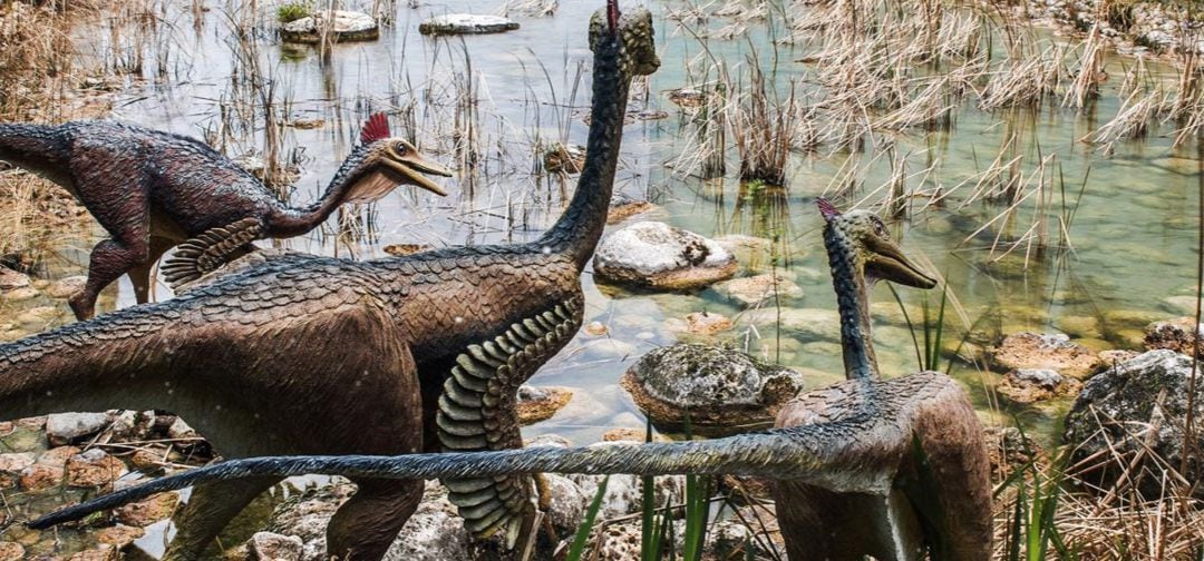 Recreación de ecosistema en el Museo Regional de Paleontología de Castilla-La Mancha, en Cuenca.