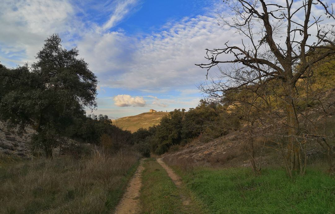 De camino al templo de Diana en tierras manchegas, junto al parque arqueológico de Segóbriga, en Saelices (Cuenca).