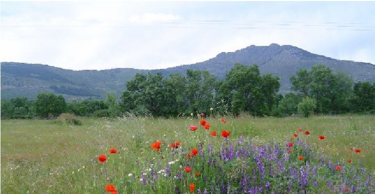 Sierra de Guadarrama