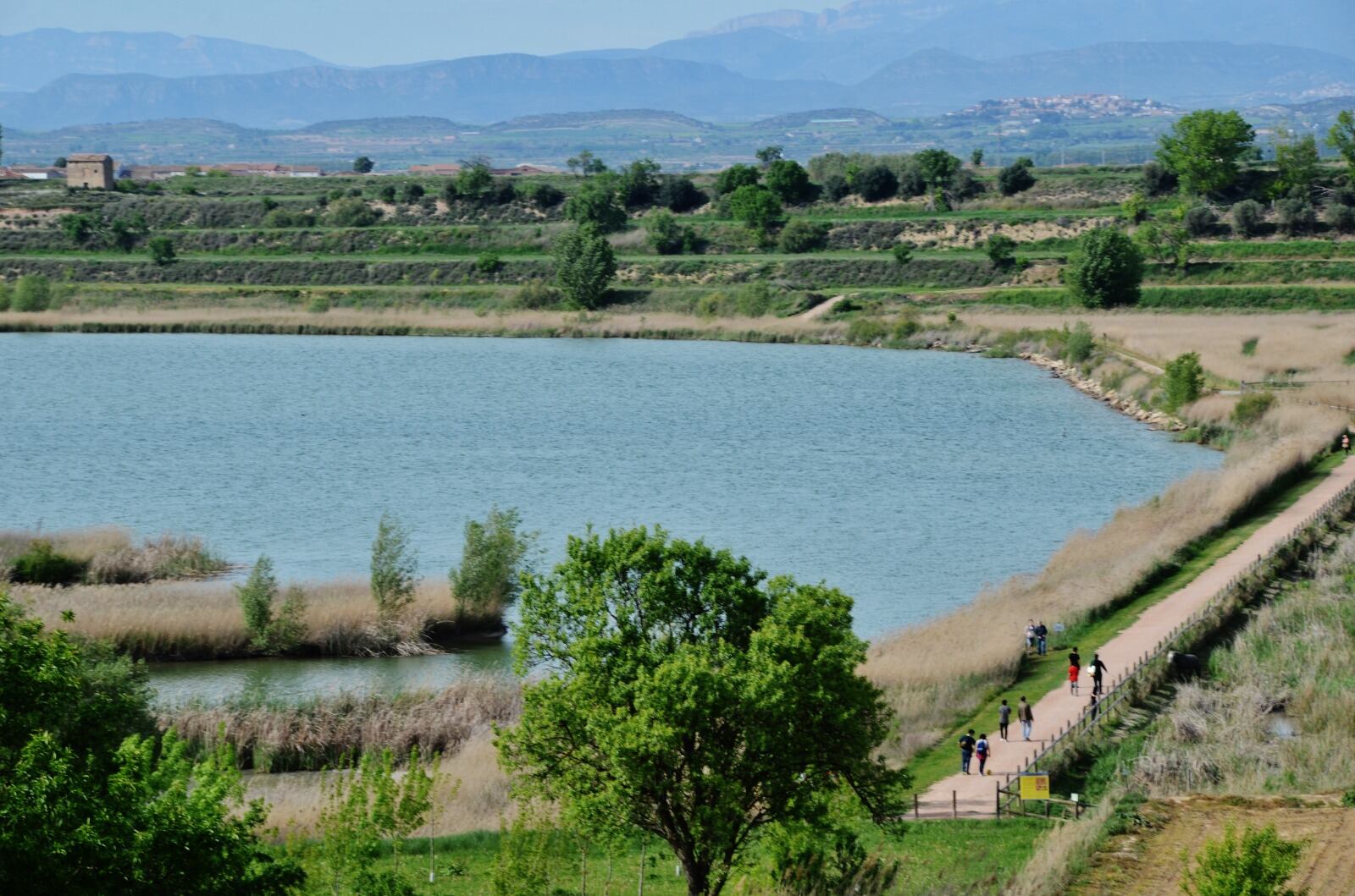 Imatge d&#039;arxiu de la làmina d&#039;aigua de l&#039;Estany d&#039;Ivars i Vila-sana.