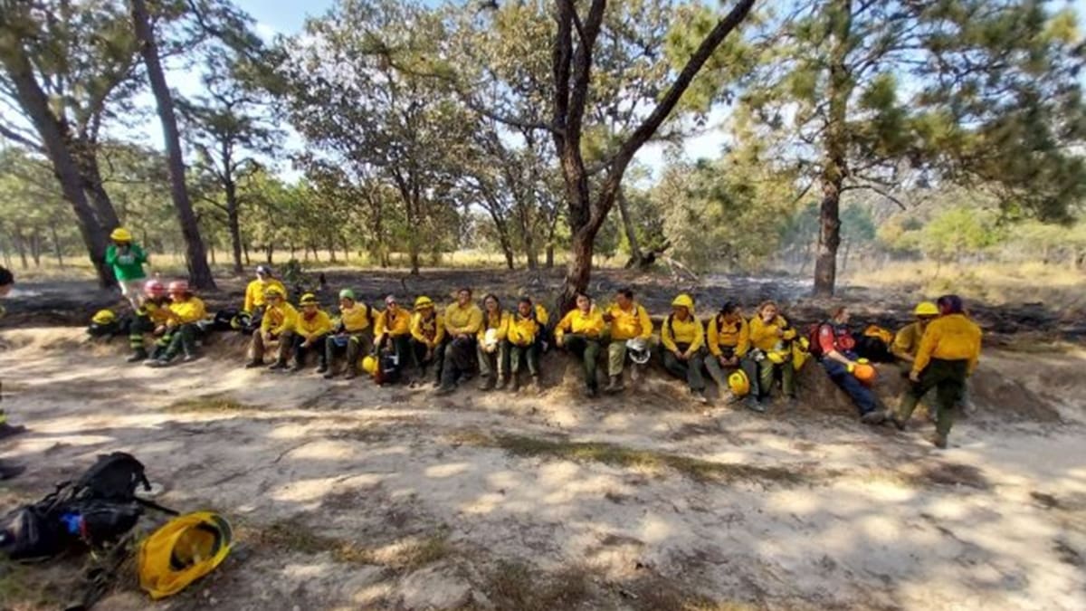 GEACAM refuerza su papel clave en emergencias y medio rural tras 20 años