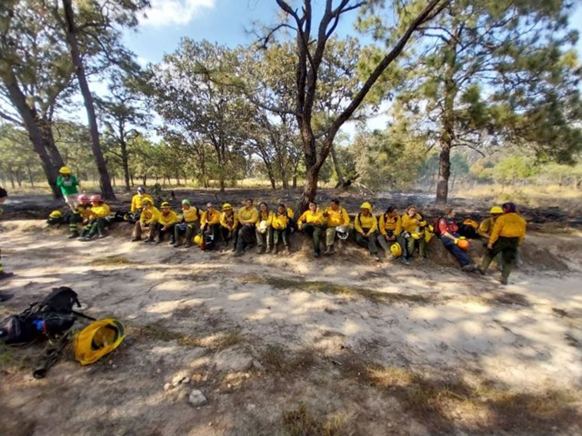 GEACAM: 20 años en la lucha contra incendios y motor del medio rural