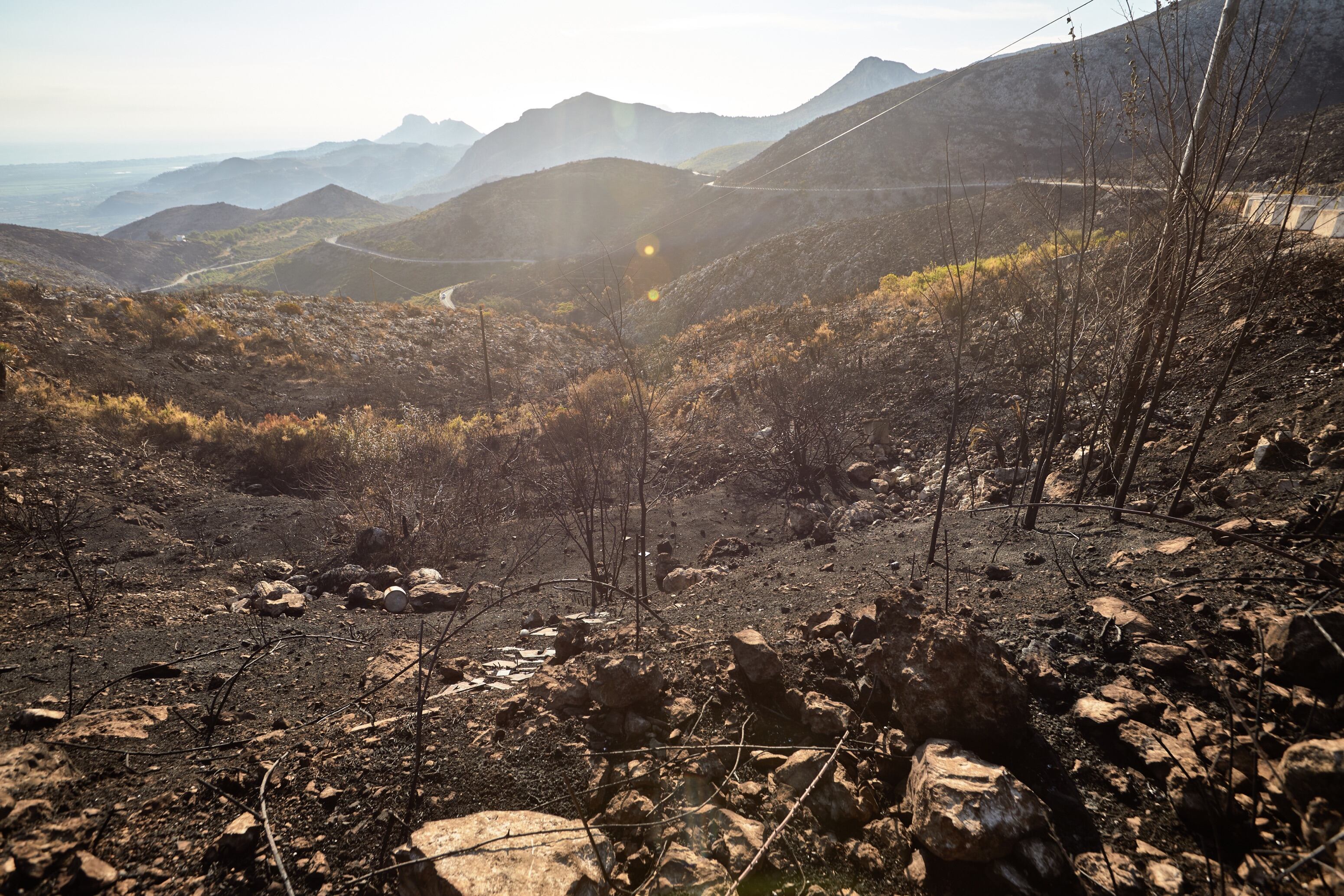 Este es el paisaje consecuencia del incendio de la Vall d&#039;Ebo