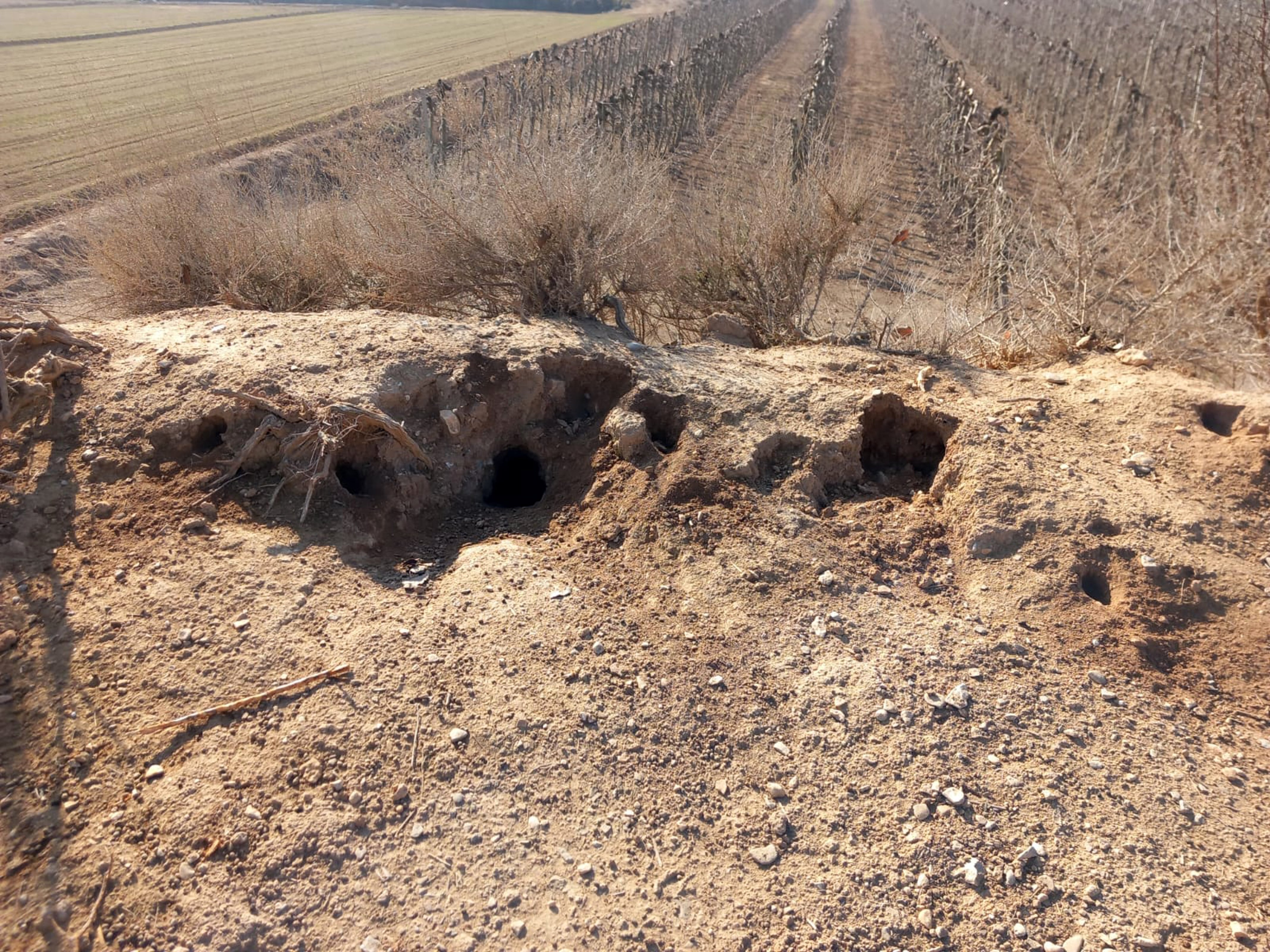 Imatge cedida pel departament d'Acció climàtica.