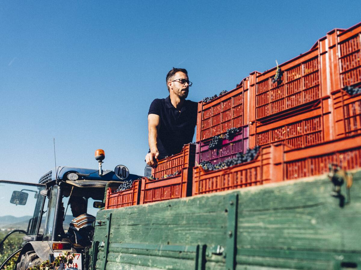 Entrevista con Julio Prieto, enólogo de Origen Viticultores