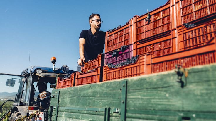 Entrevista con Julio Prieto, enólogo de Origen Viticultores