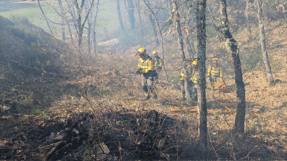 Medios aéreos y terrestres se esfuerzan en la extinción de un fuego la Reserva de los Ancares Leoneses