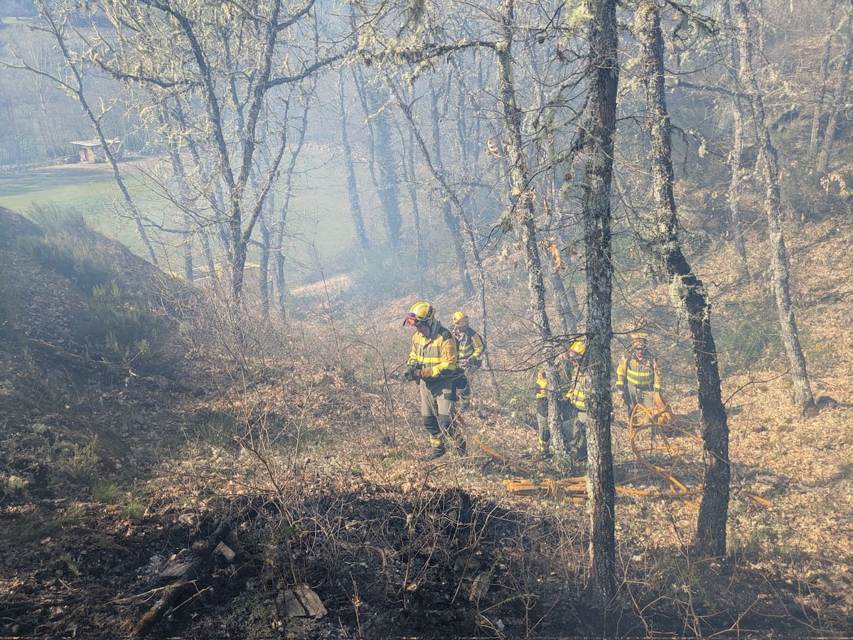 Medios aéreos y terrestres se esfuerzan en la extinción de un fuego la Reserva de los Ancares Leoneses
