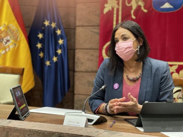 María del Río, presidenta del Grupo Parlamentario Sí Podemos Canarias y diputada por Lanzarote.