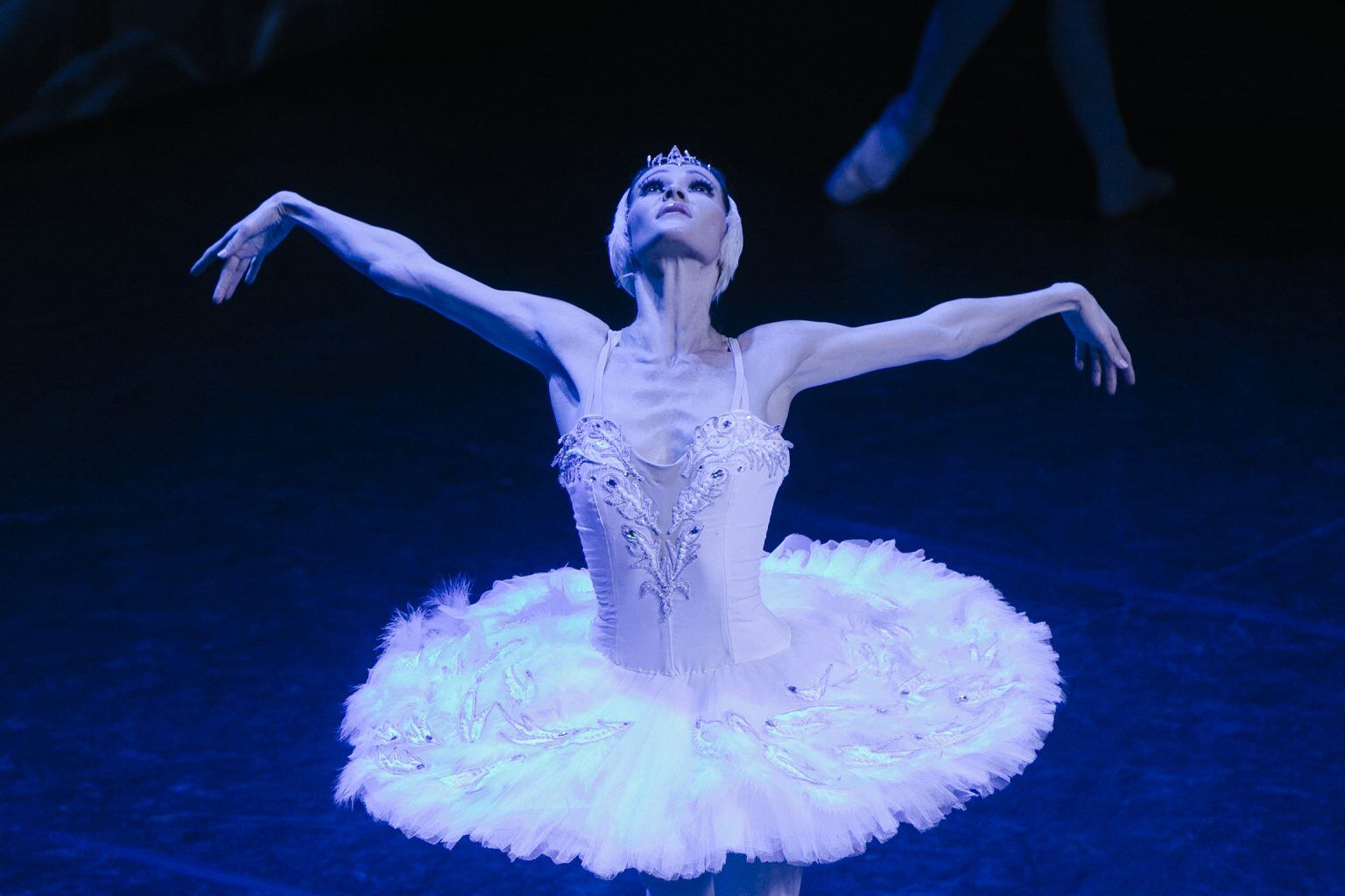 El auditorio de la UC3M en Leganés acoge, como es tradición en la previa de la Navidad, las inmortales obras de ballet 'El Lago de los Cisnes' y 'El Cascanueces'