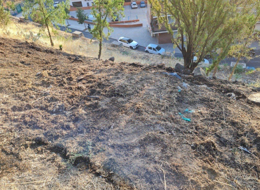 Los bomberos de Toledo sofocan un nuevo incendio registrado en el Parque de la Vega